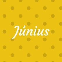 2020. JNIUS